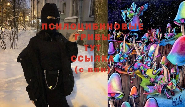 винт Заводоуковск